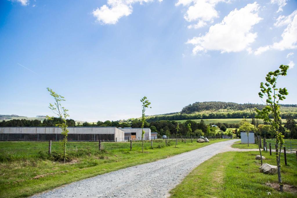 Clissmann Horse Caravans Glamping photo
