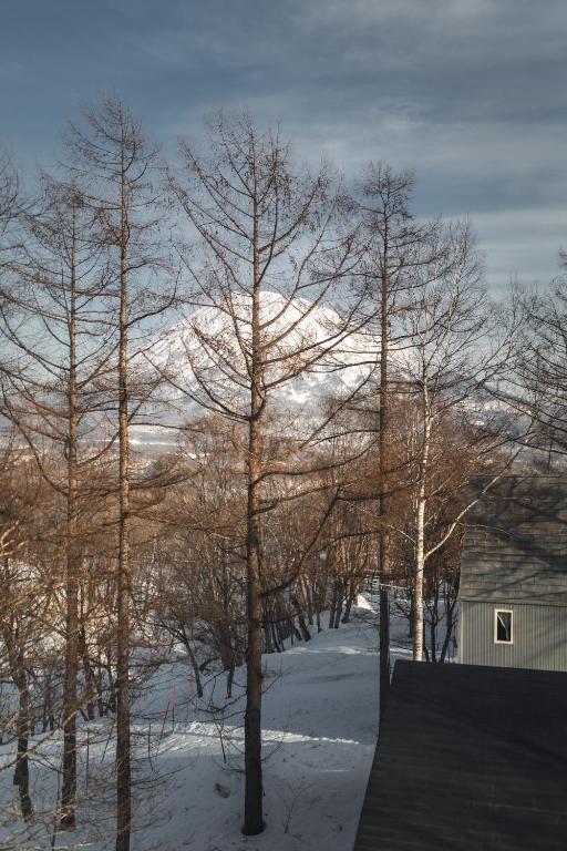 Surrounding environment