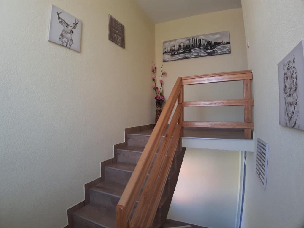 Rooms Sapina photo