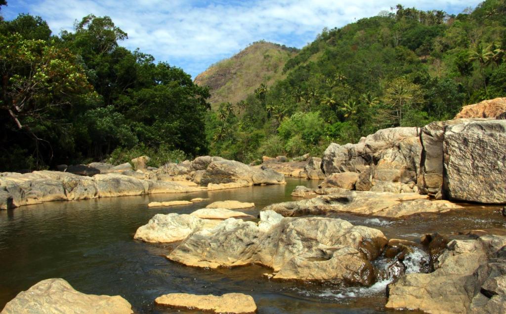 Darpana Homestay photo