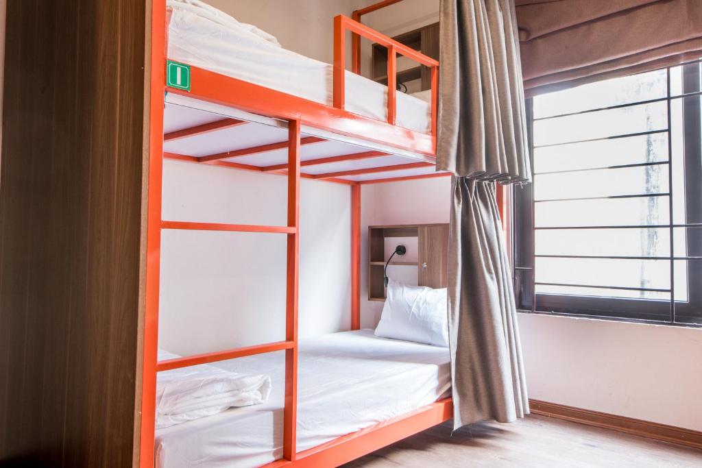 Hanoi Buffalo Hostel photo