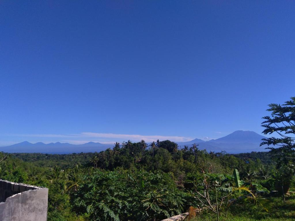 Mount Sea View Bungalow photo