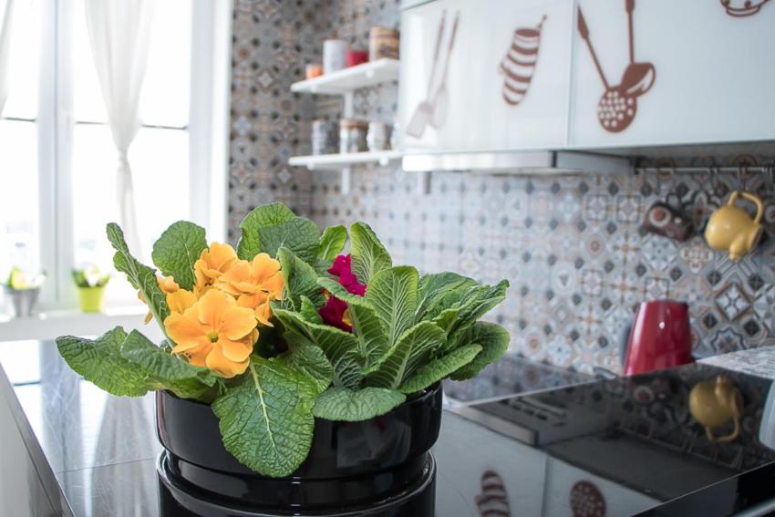 Apartment Travel hub ***, Varaždin