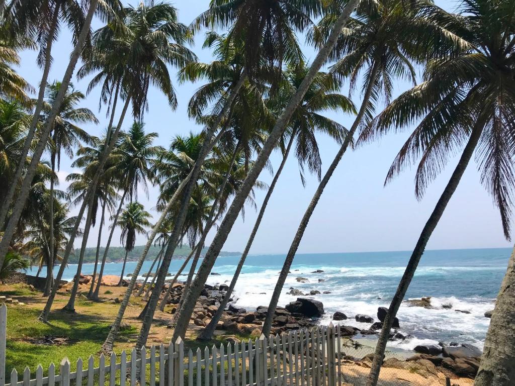 Light House Beach Resort photo