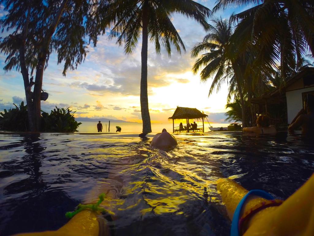 スイミングプール