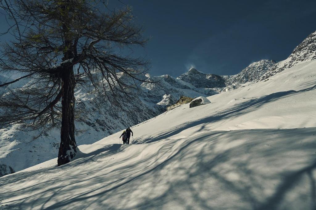 Hotel Marmotte - 5