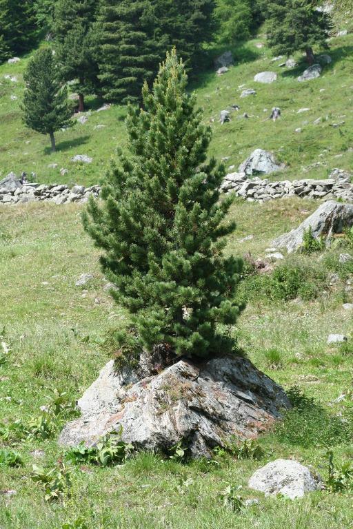 Sports and activities