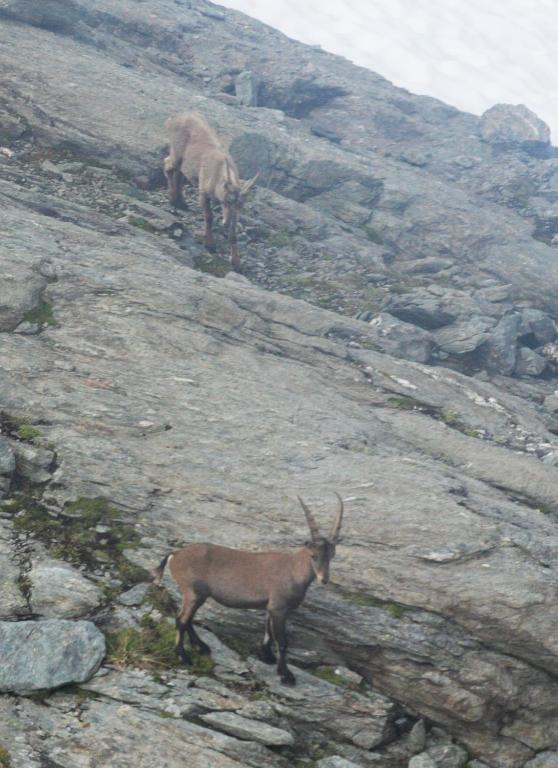 Surrounding environment