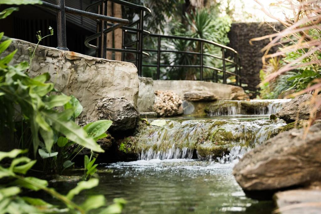 Surrounding environment