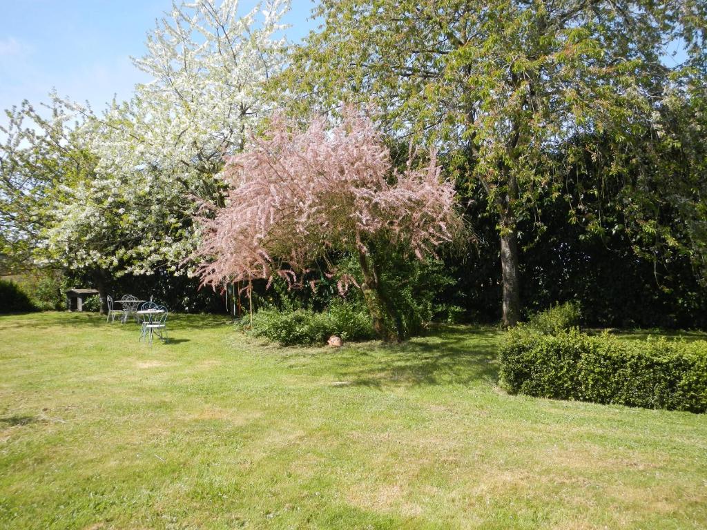 Le Presbytere de Saint Malon photo