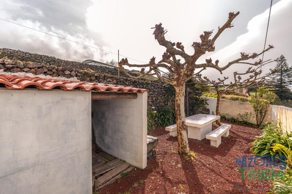 Casa do Tio Jose