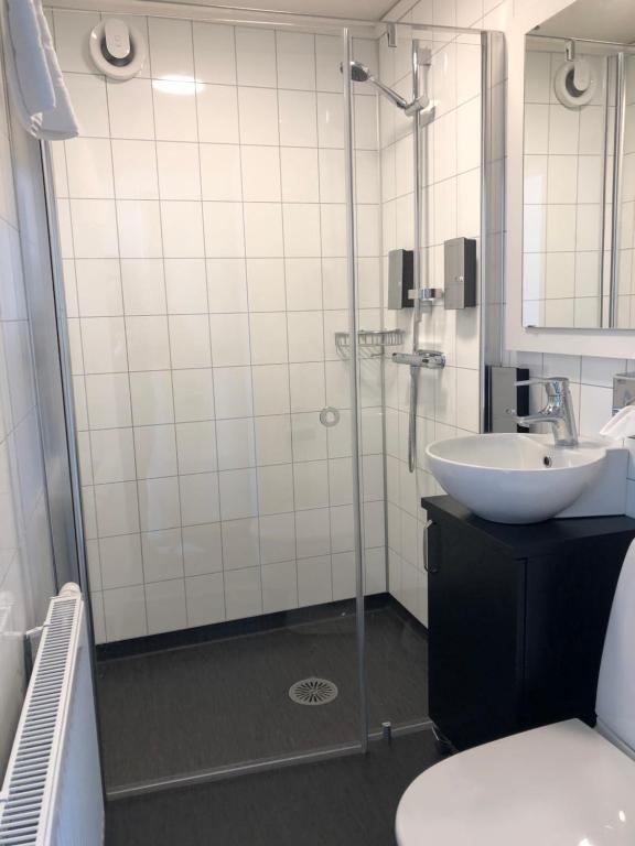 Dalecarlia Hotel & Spa, Bw Premier Collection Photo 41