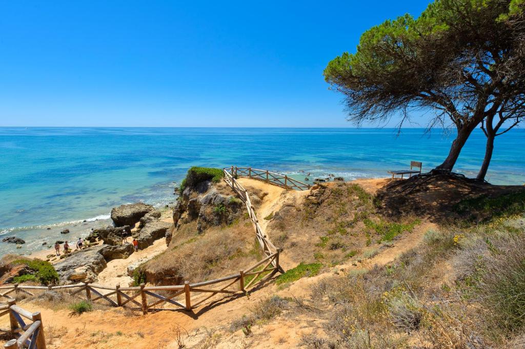 Luna Miramar Club — Attractions in the area in Albufeira, Faro