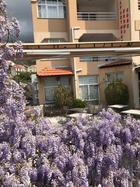 Guesthouse Villa Gaga - 5