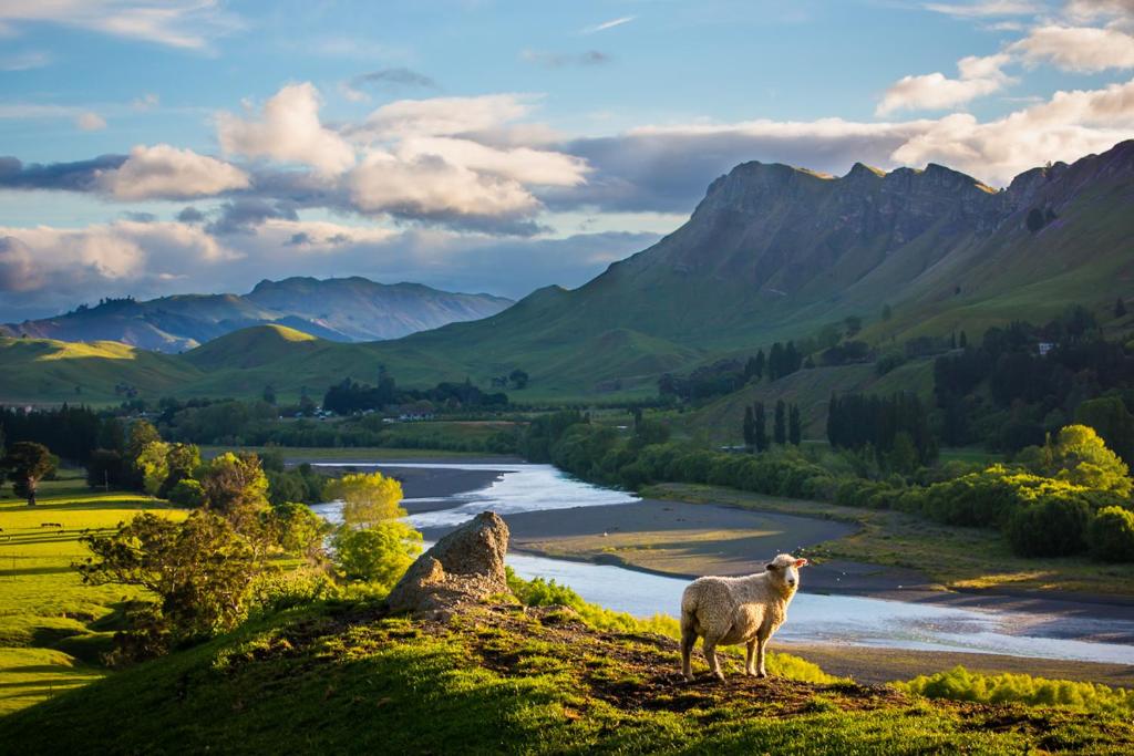 กีฬาและกิจกรรมสันทนาการ