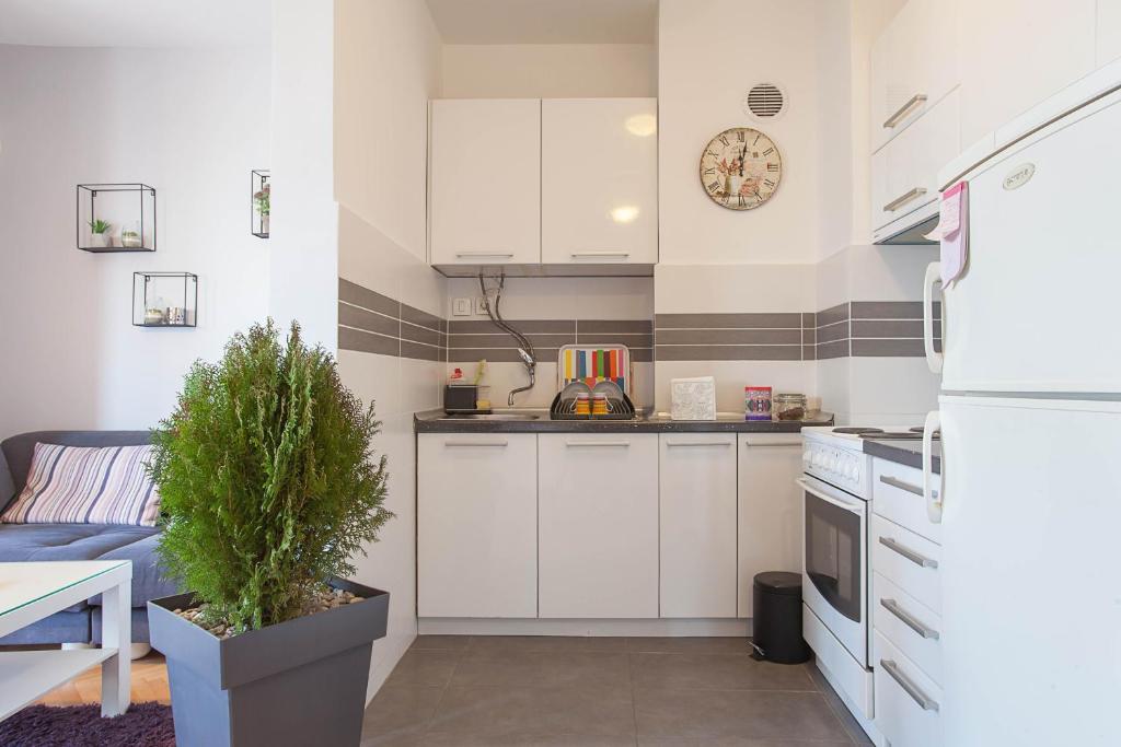 VIOLET APARTMENT photo