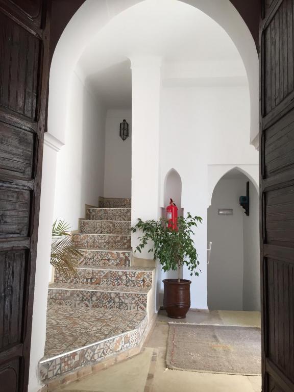 Riad Safia photo
