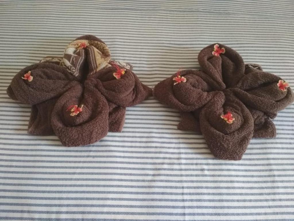 ALMAIDA II Gili Trawangan