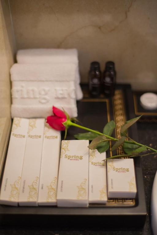 스프링 호텔 하노이 호텔 이미지 2