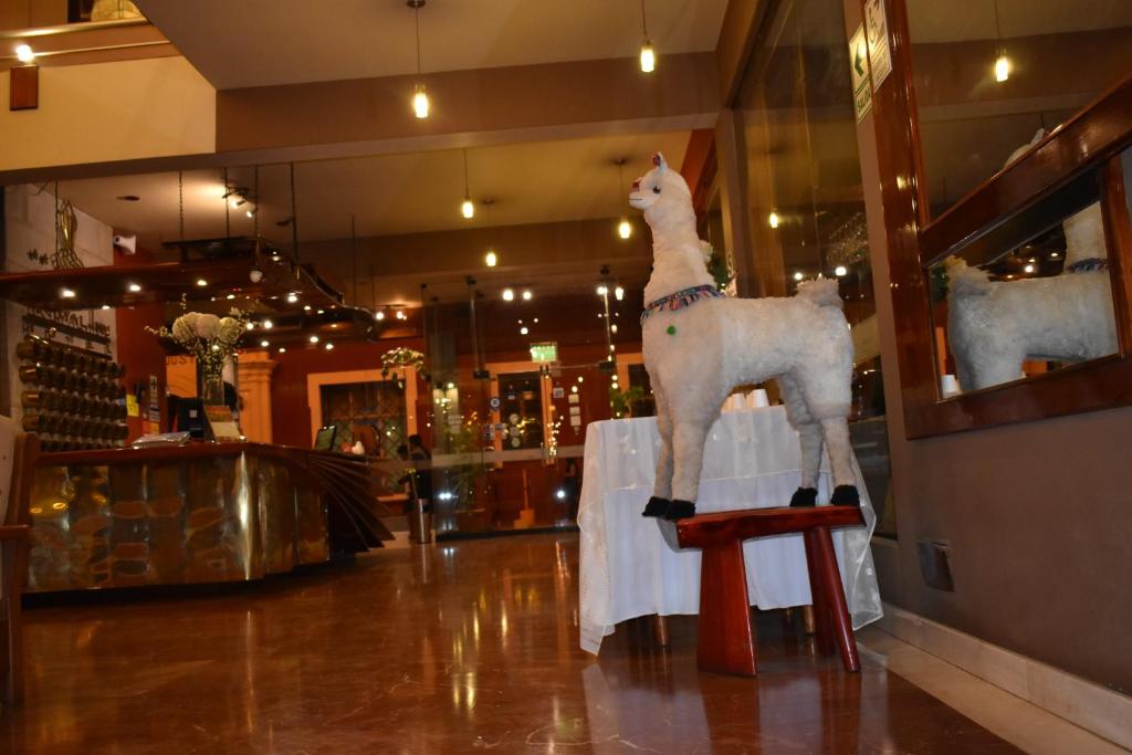 Royal Inn Hotel Puno - 5