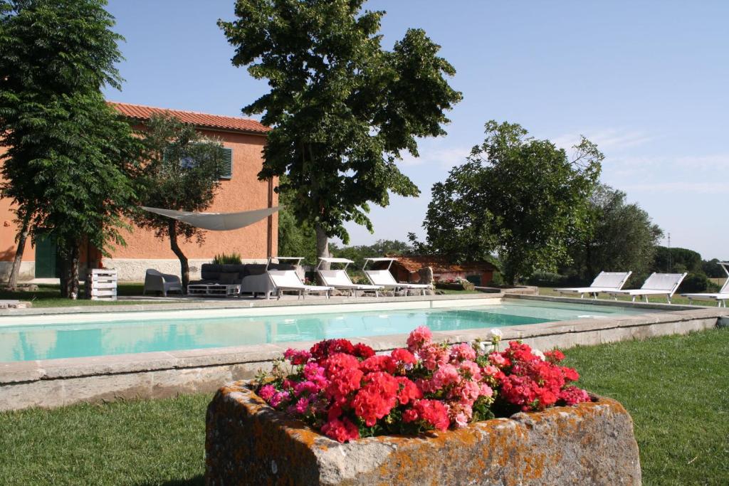 Ippocastano B&B, Viterbo