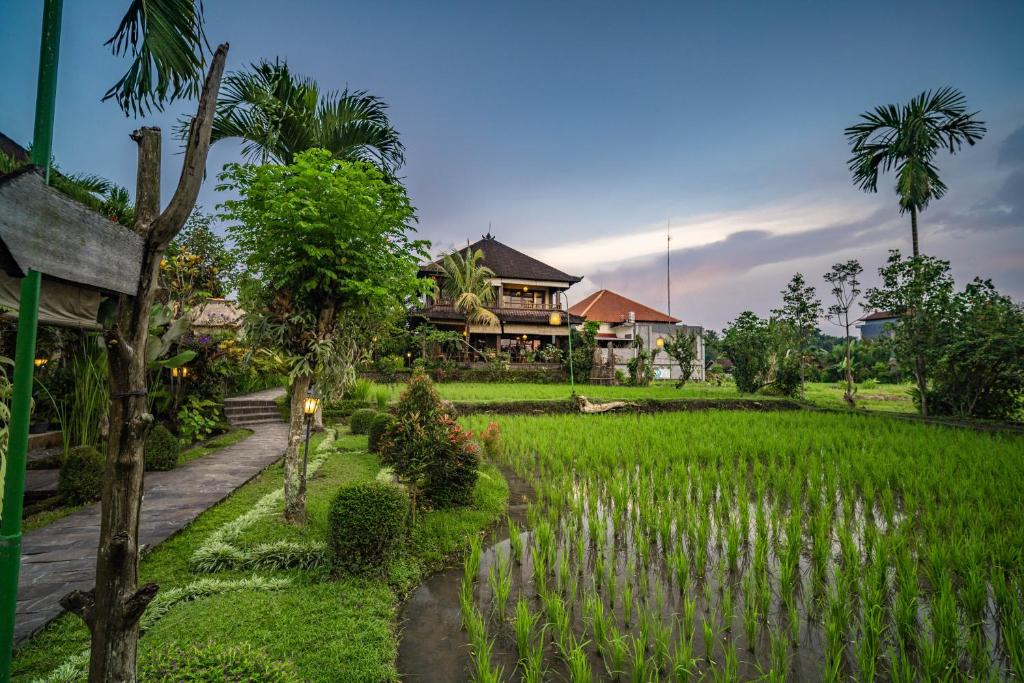 ทัศนียภาพ
