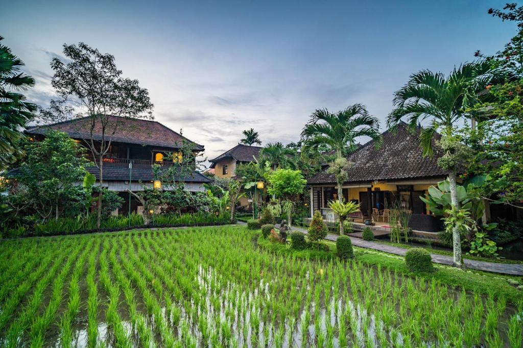 ทัศนียภาพ
