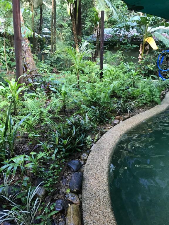 Daintree Crocodylus Village photo