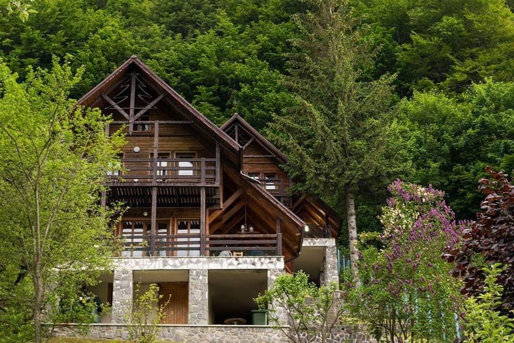 Florile Bucegilor — Hotel in Sinaia