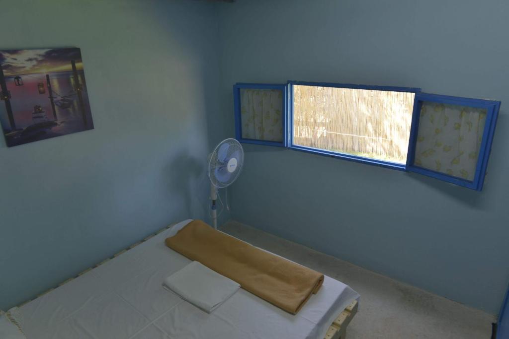 The Sea Turtle Glamping photo