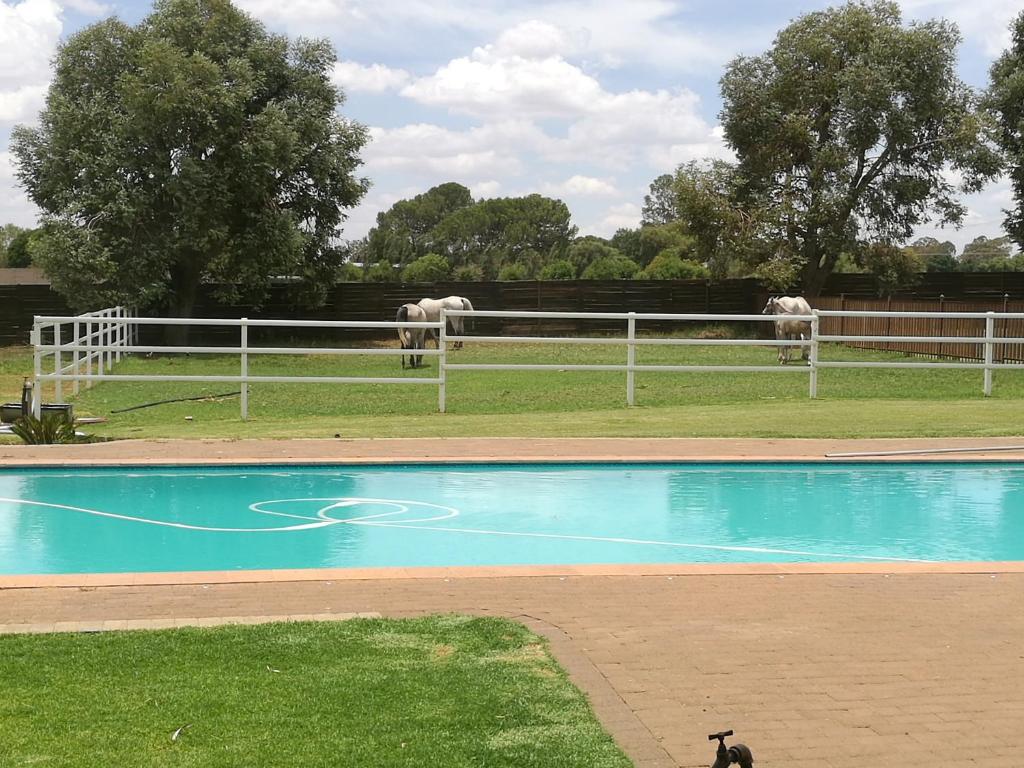 Krige Lodge B&B photo