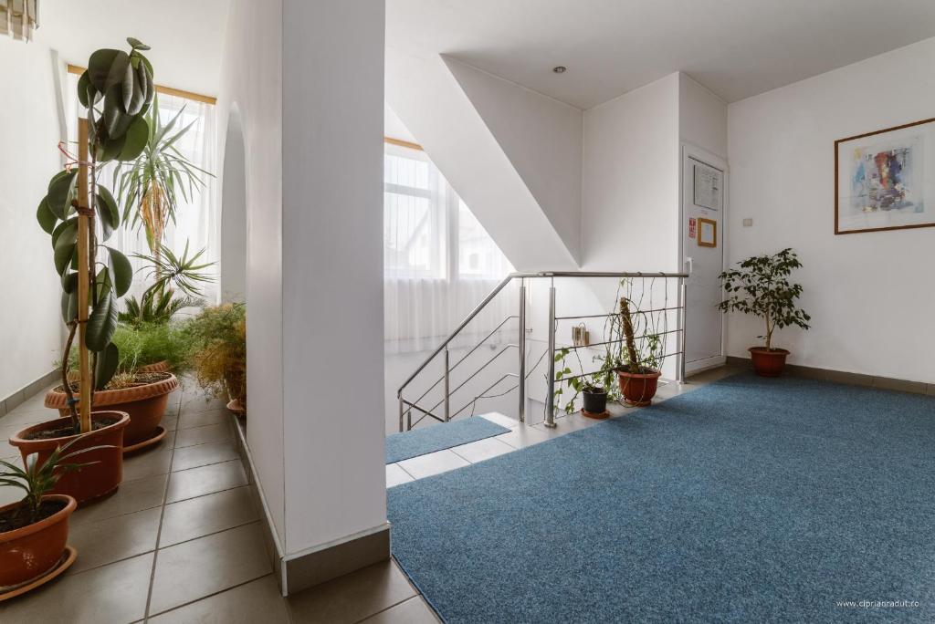Hotel Iris photo