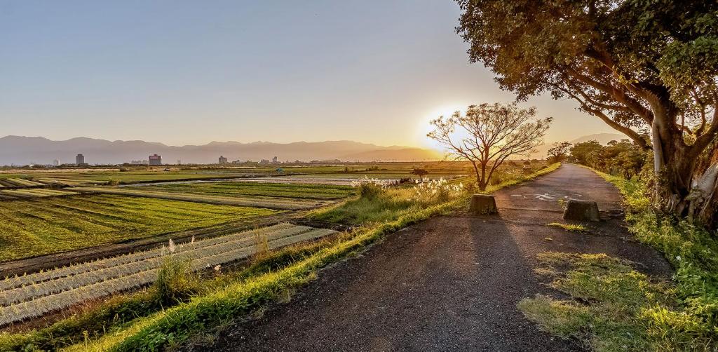 New Fox Guest House 호텔 이미지 2