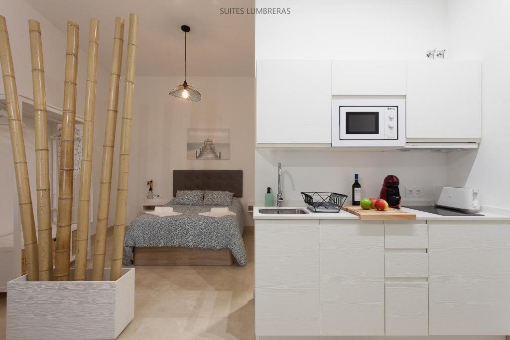 Suites Lumbreras - 4