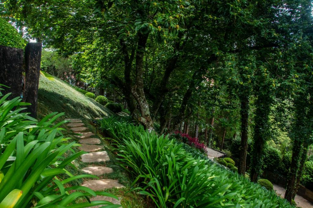 Surrounding environment
