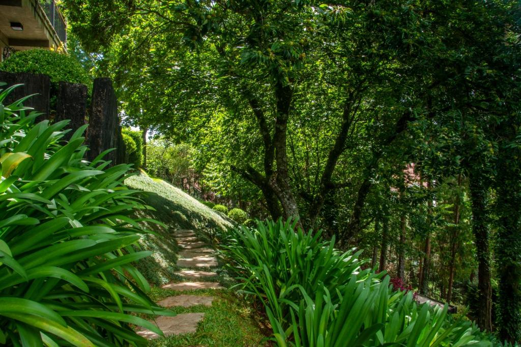 Surrounding environment