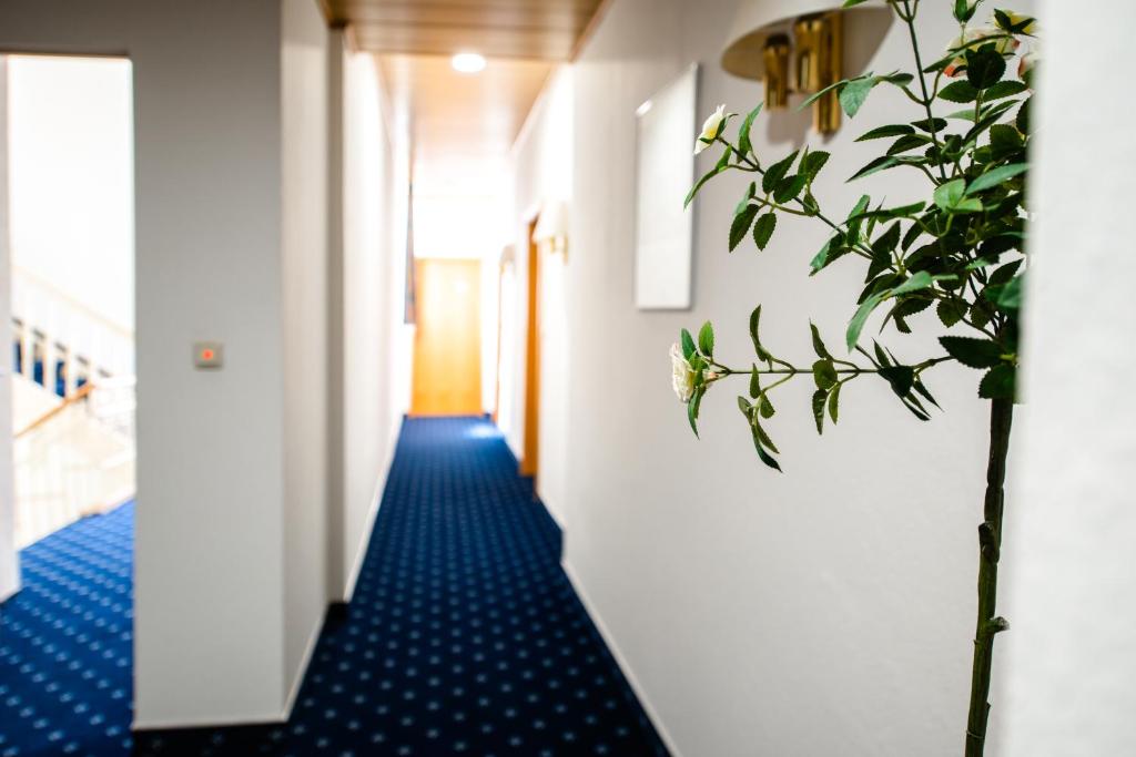 Hotel Frankischer Hof — Hotel in Kitzingen