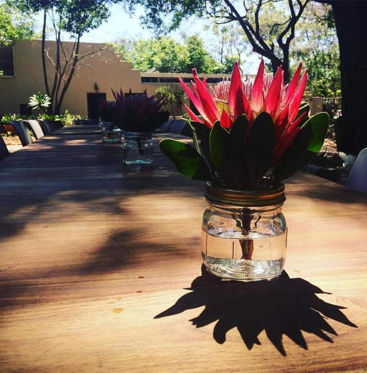 Pierneef's Kraal photo