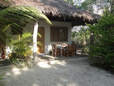 Cebu Sea Turtle House Additional