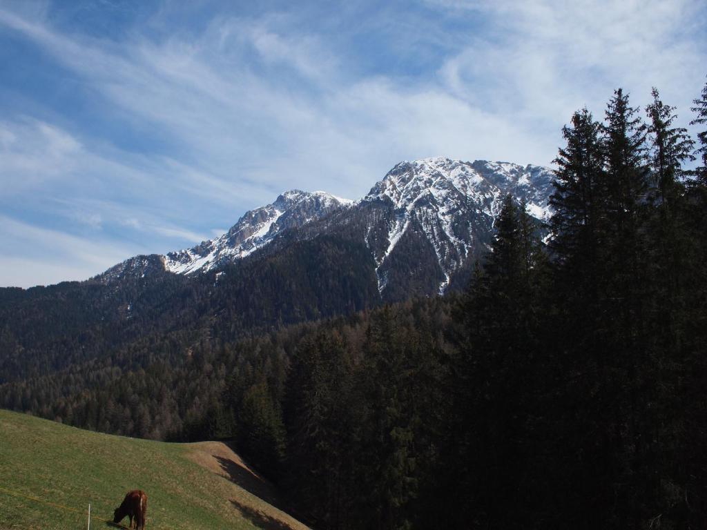 Berggasthof Trattes - 3