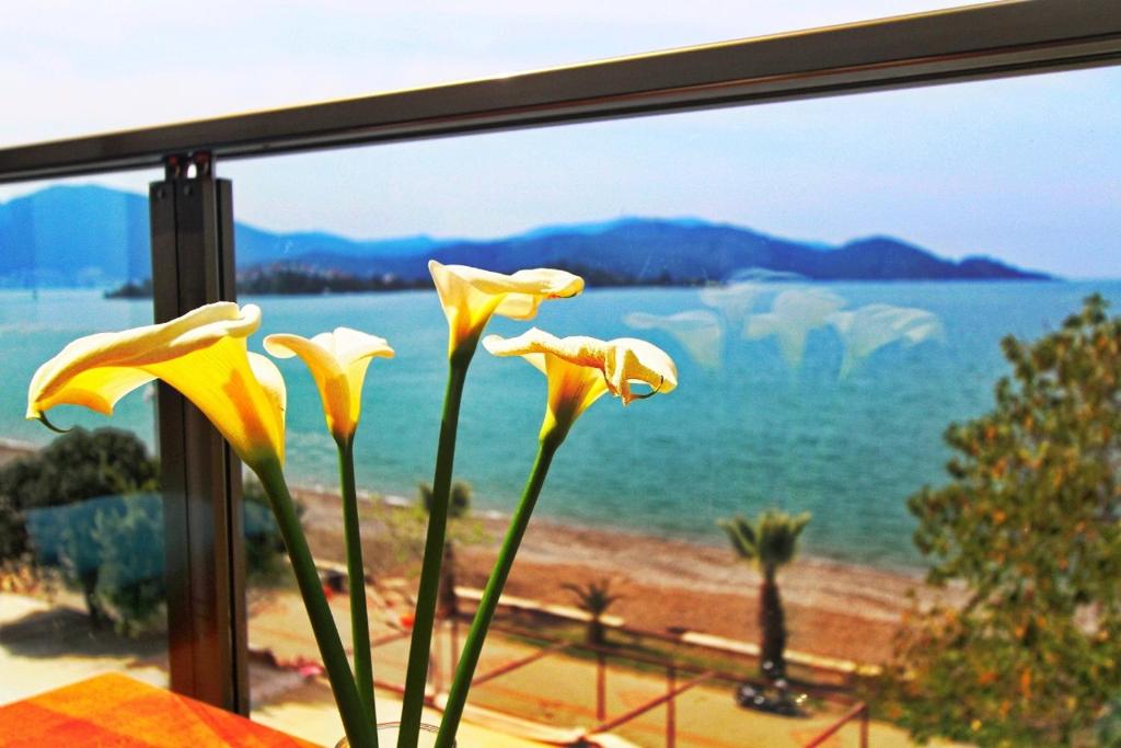 george's boutique hotel photo