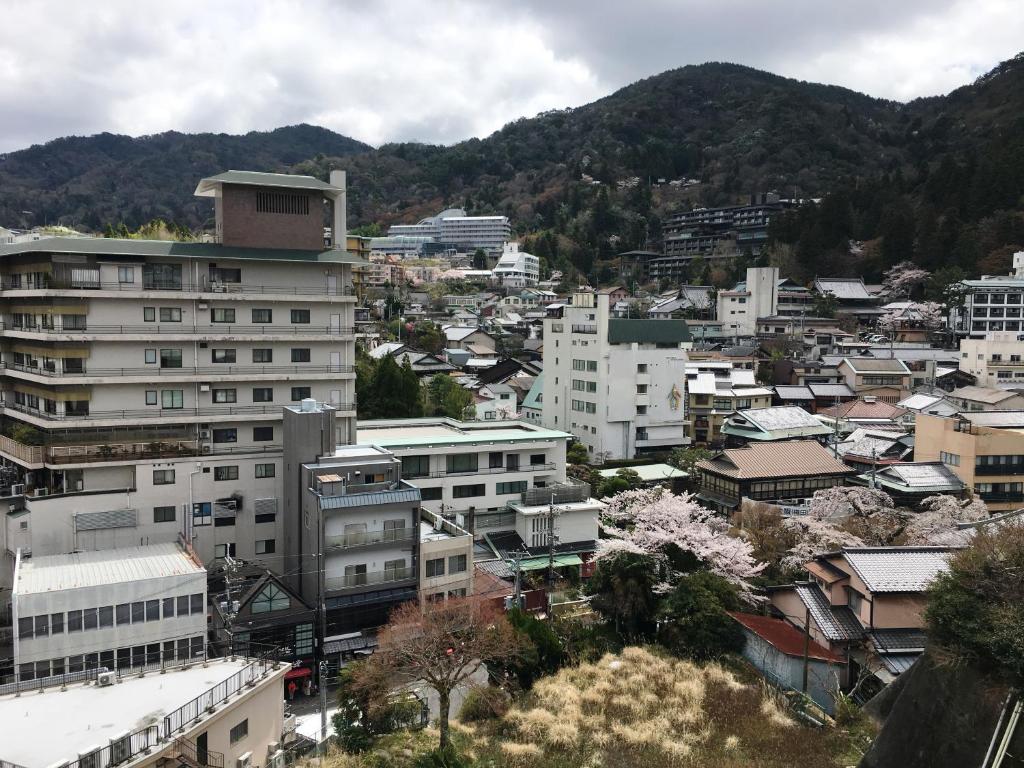 View