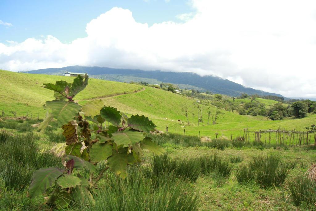 Casa Volcano Panoramic View photo