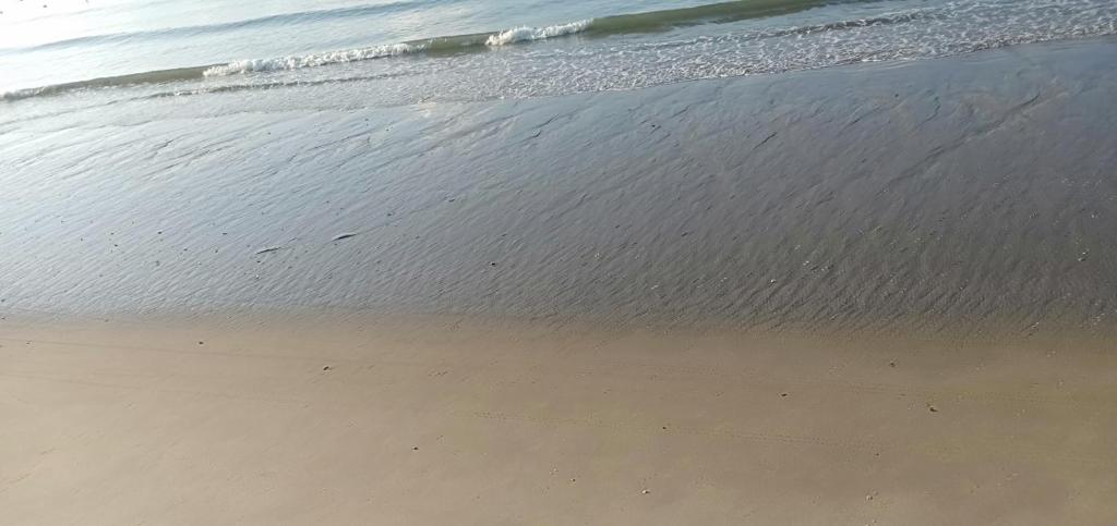 Pacific Beach Resort photo