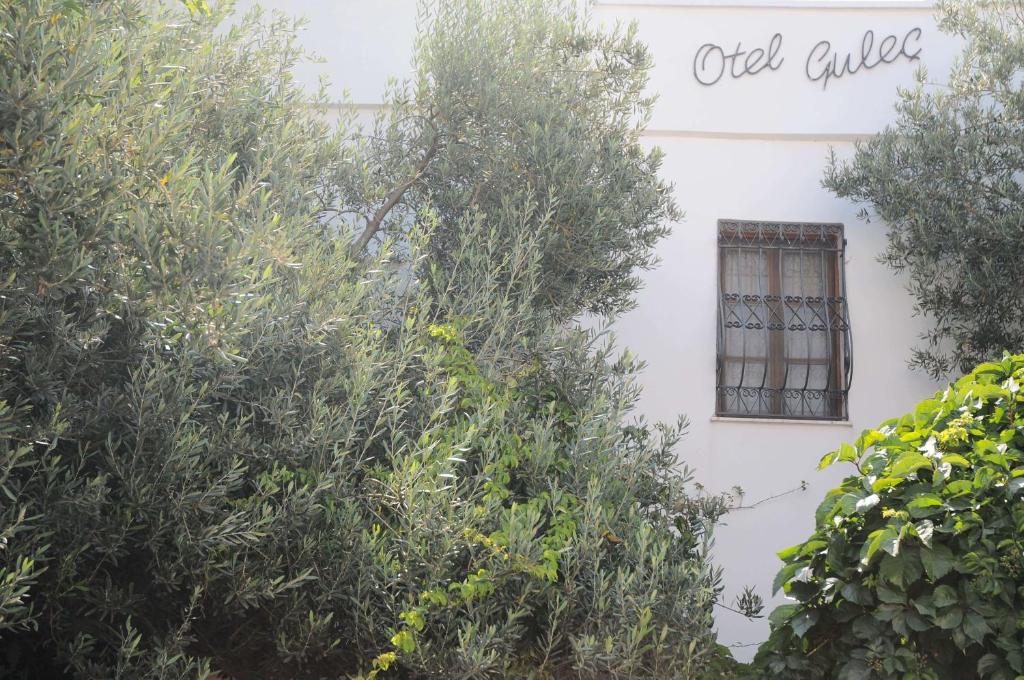 호텔 굴렉 호텔 이미지 1