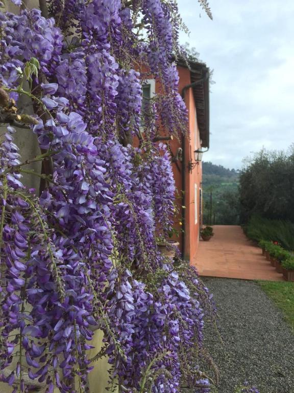 Villa Casetta - 4