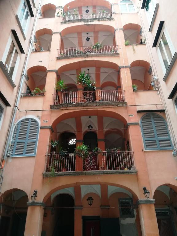 Domusrealstella - 1