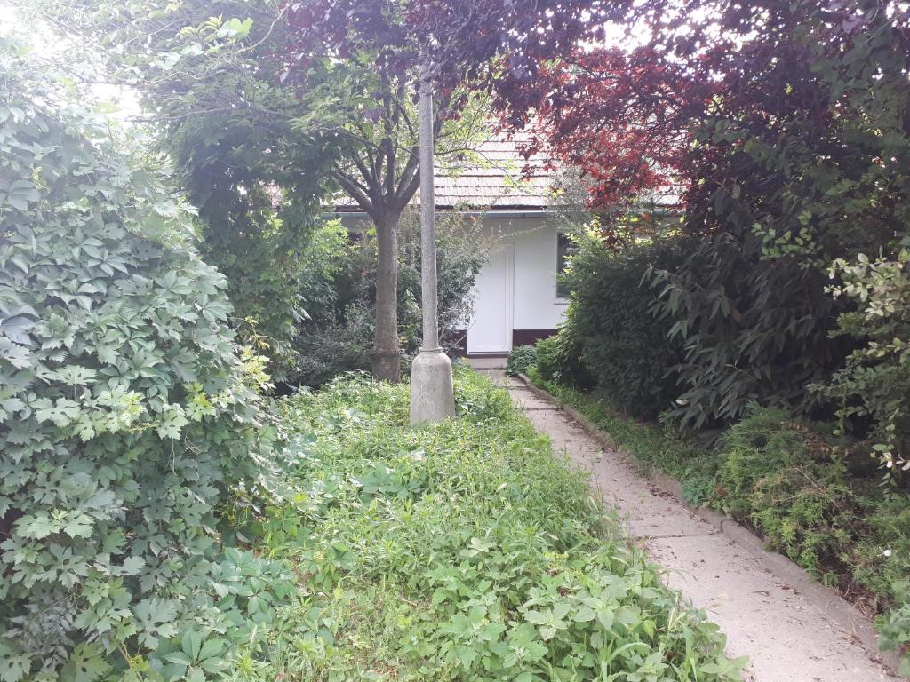 Apartman - sukromie v meste (12) photo