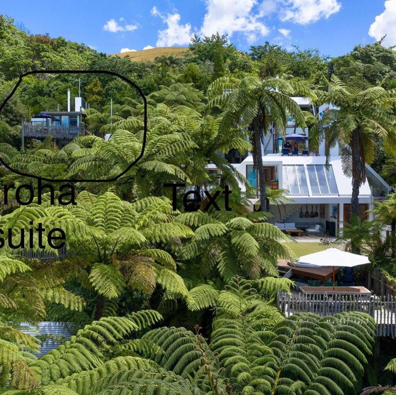 te Whare -Lake Tarawera tree-top nest photo