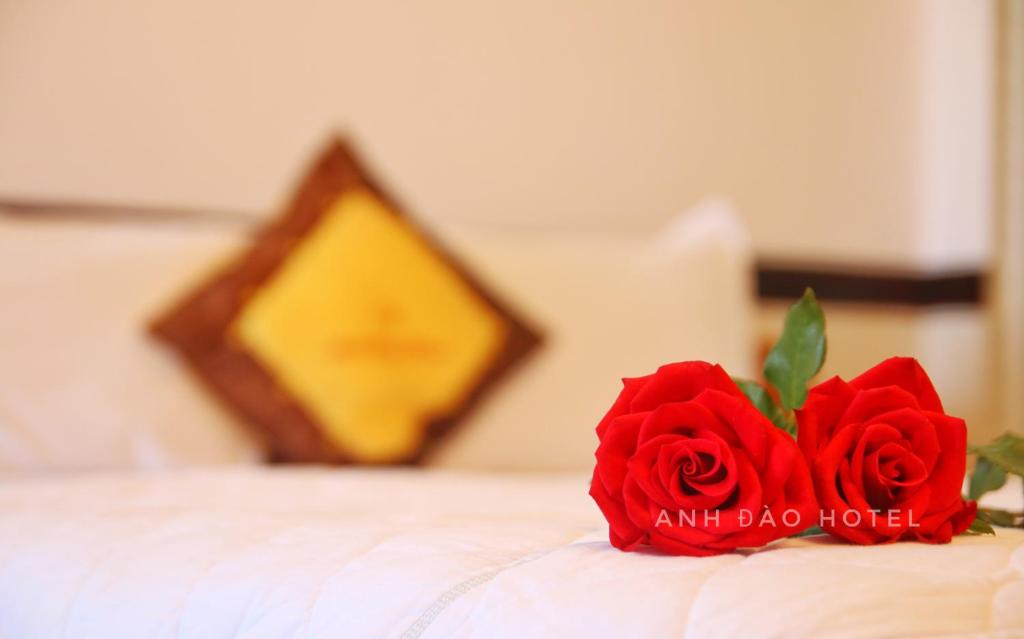 Anh Dao Phu Quoc hotel photo